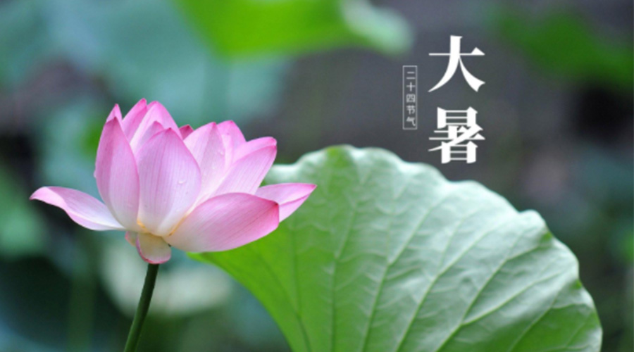 大暑時節(jié)！金環(huán)電器提醒大家注意這些干衣細節(jié)