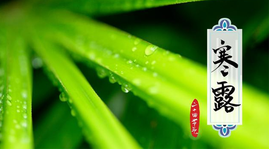 寒露時(shí)節(jié)到！金環(huán)電器提醒這些干衣事項(xiàng)要注意
